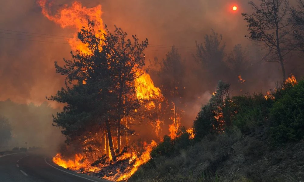 Μάχη με τις φλόγες σε πολλά μέτωπα στη δυτική Τουρκία